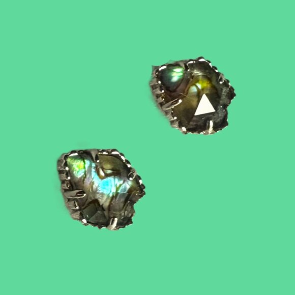 Kendra Scott Silver Iridescent Abalone Faceted Stud Earrings - Picture 1 of 11